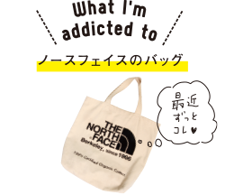 What I'm addicted to ノースフェイスのバッグ