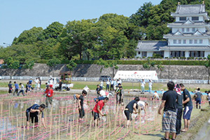 尾張旭 田んぼアート